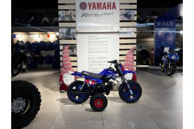 YAMAHA PW50 2025 EDITION GYTR PACK LITTLE CHAMPION