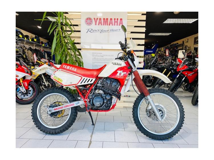 YAMAHA TT 250R