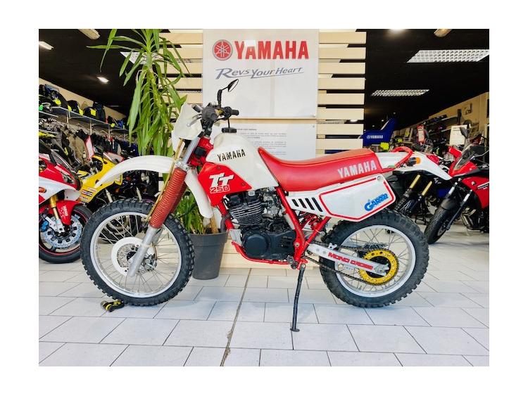 YAMAHA TT 250R