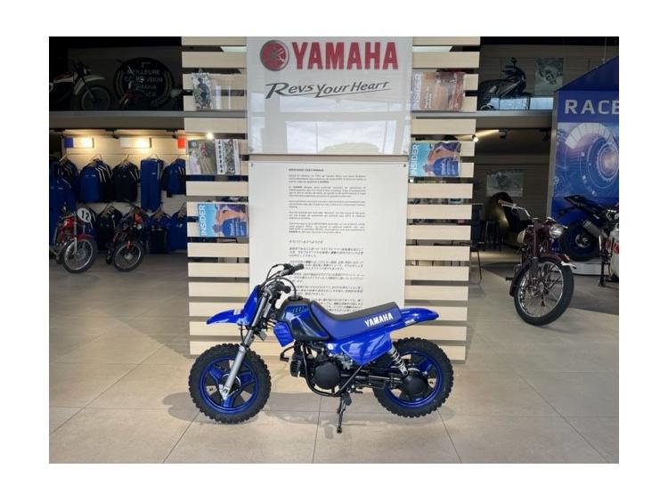 PW50 ICON BLUE 43€/MOIS*